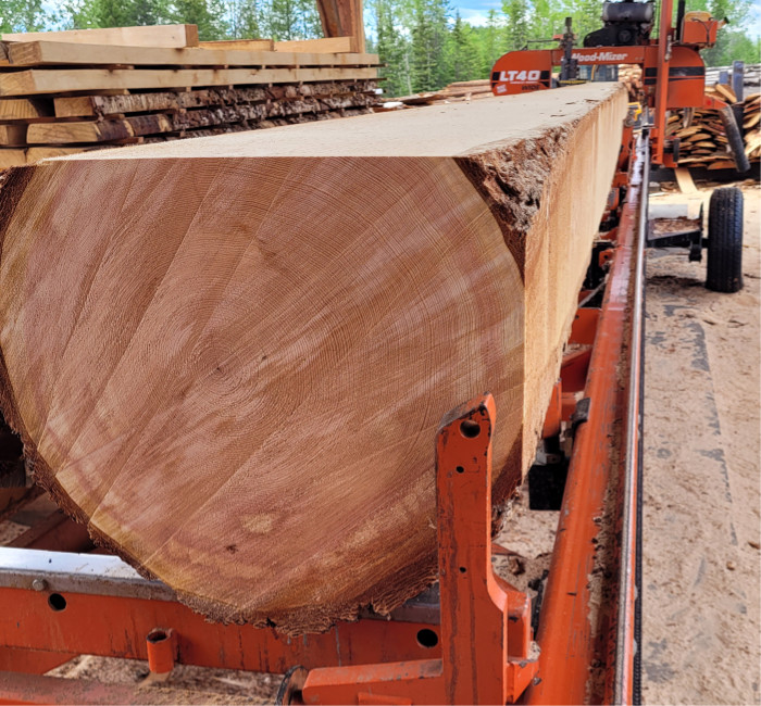 A massive stem of fir milled for a beautiful custom timber frame home