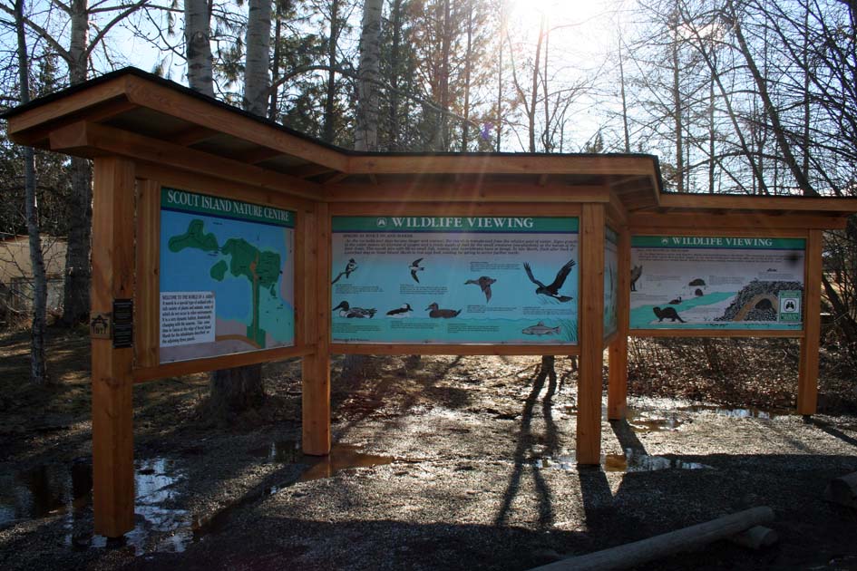 Scout island nature center - wildlife viewing - display